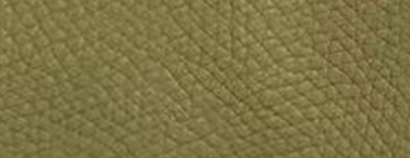 B029 Nappa grain