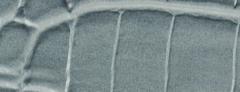 C333 Crocodile pattern