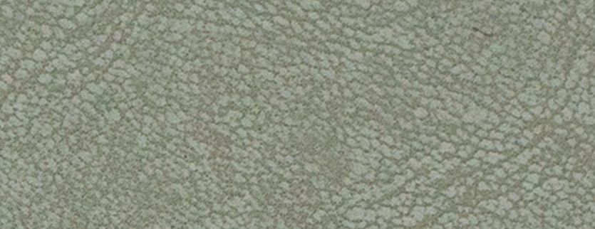 GN03 Pebbled grain